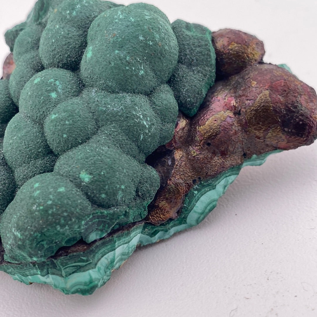 Botryoidal Iridescent Geothite between Malachite