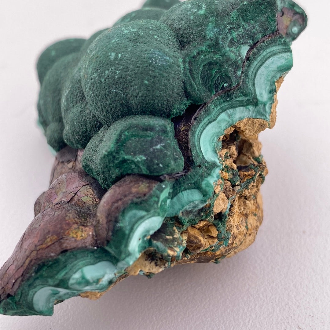 Botryoidal Iridescent Geothite between Malachite