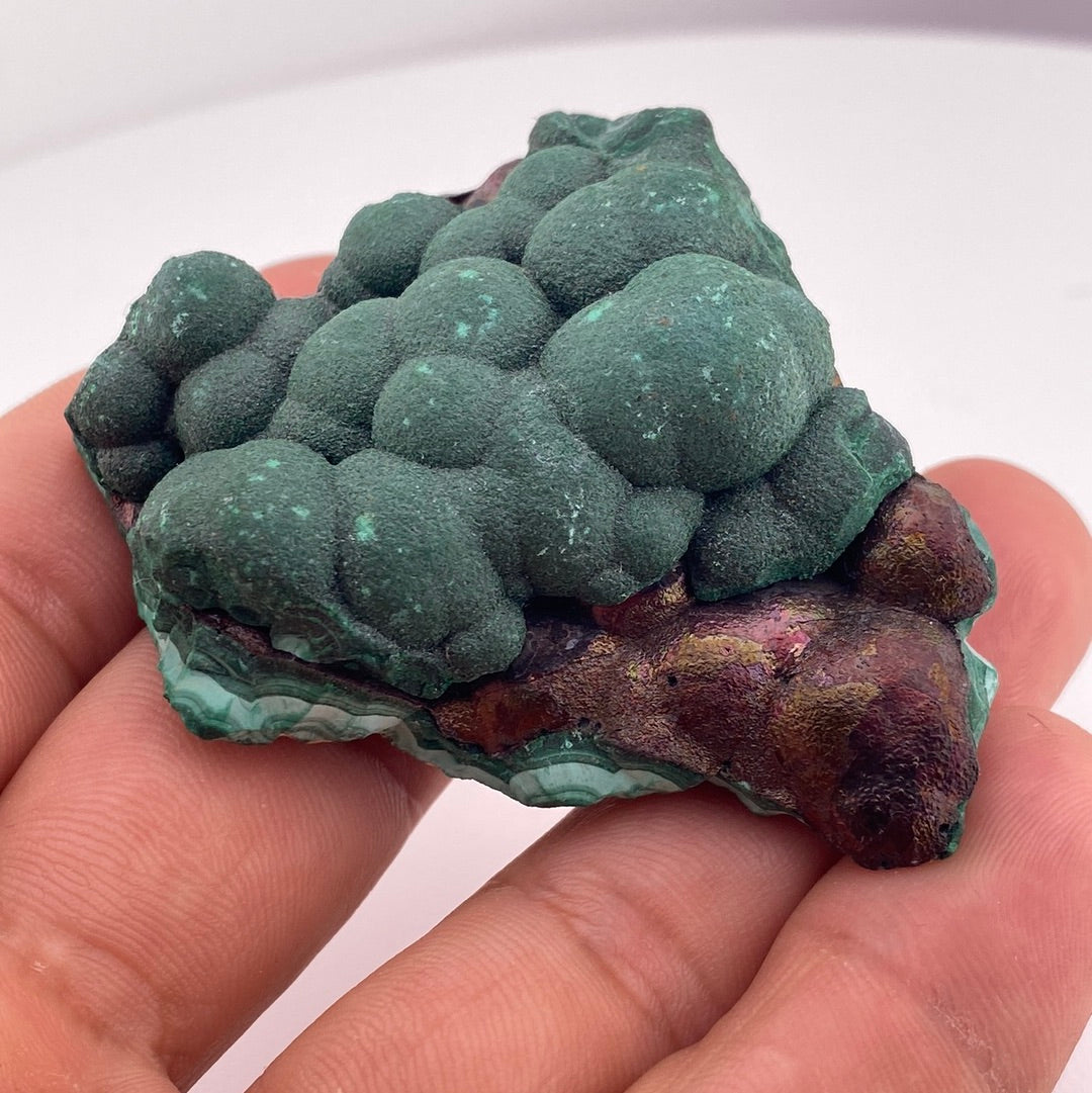 Botryoidal Iridescent Geothite between Malachite