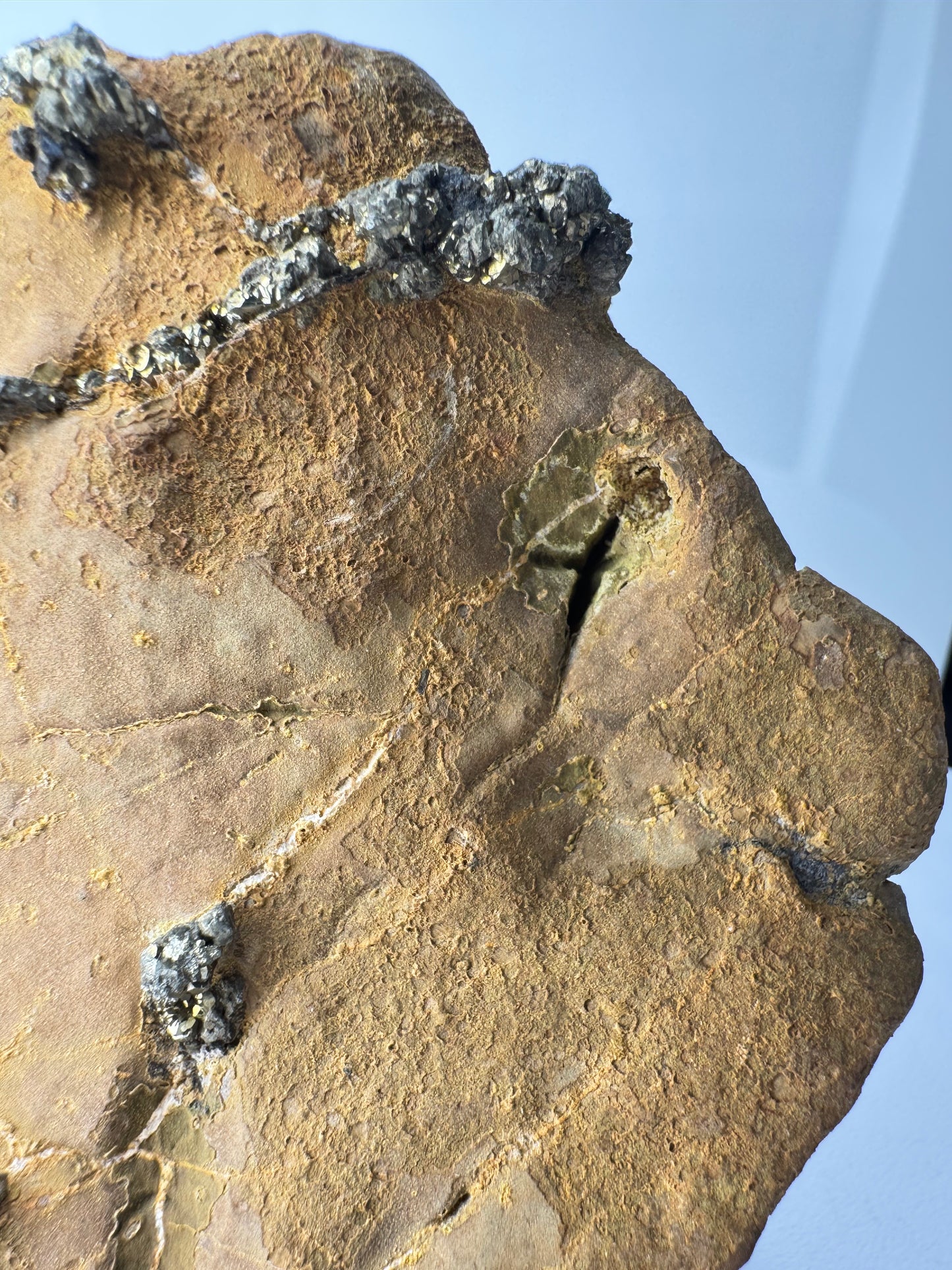 Pyrite on Limonite Matrix - Kharan, Baluchistan Province, Pakistan.