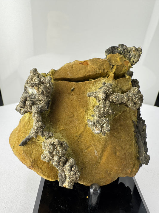 Pyrite on Limonite Matrix - Kharan, Baluchistan Province, Pakistan.