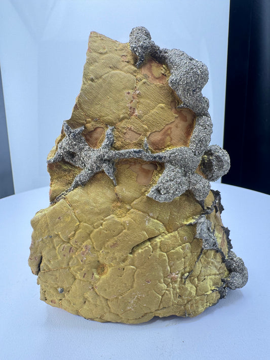 Pyrite on Limonite Matrix - Kharan, Baluchistan Province, Pakistan.