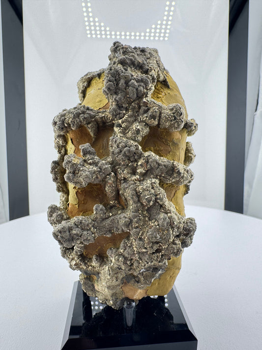 Pyrite on Limonite Matrix - Kharan, Baluchistan Province, Pakistan.