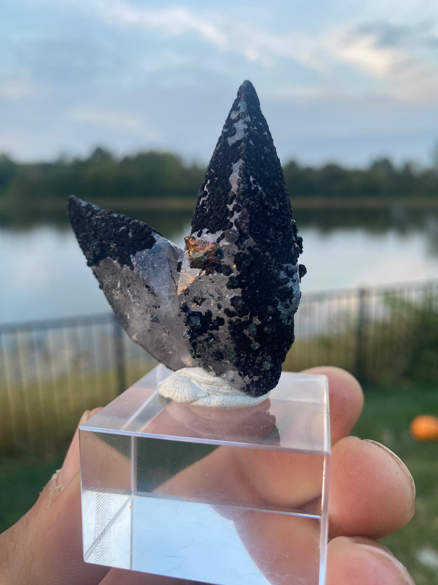 Calcite Specimen from Pea Ridge Mine, MO