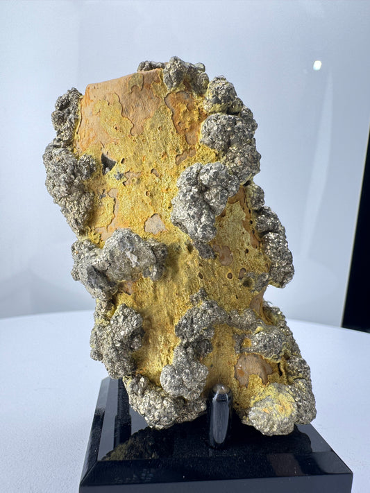 Pyrite on Limonite Matrix - Kharan, Baluchistan Province, Pakistan.